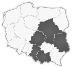 Obszar działania firmy